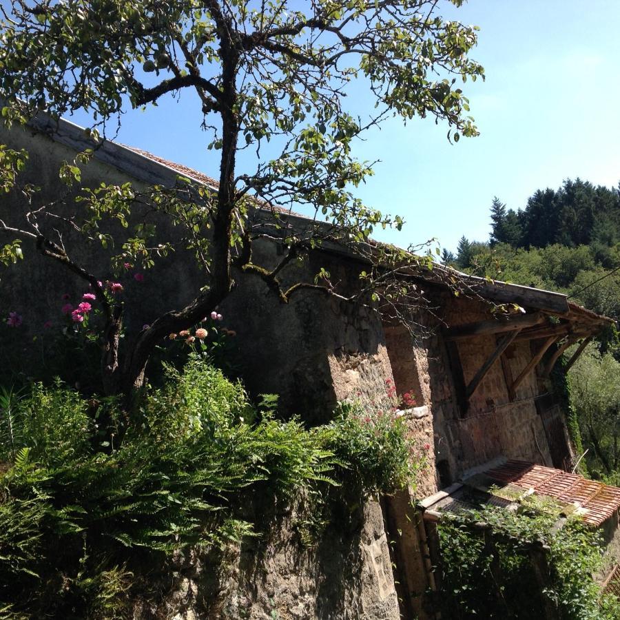 Chambre Privative Et Originale, A 20 Mn De Cluny Trivy 외부 사진